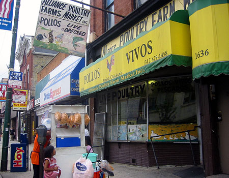 East Ukranian Village - Chicago Avenue