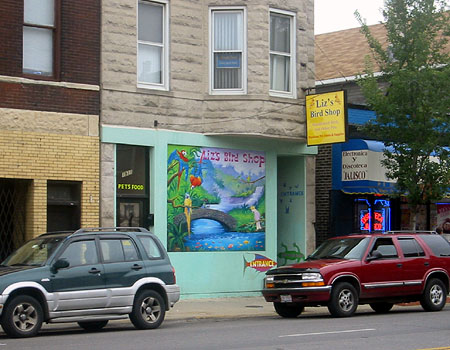 East Ukranian Village - Chicago Avenue