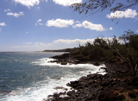 shoreline_kauai_sw.jpg